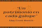 Galeno Blur, a Serif Font by Craft Supply Co. (Thumbnail 5 of 8)