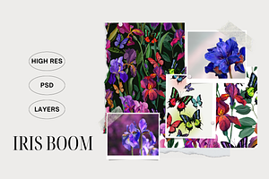 Iris Floral, Luxury Patterns