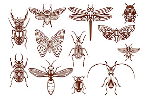 Brown Tribal Insects