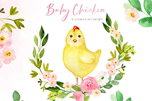 Baby Chicken. Watercolor Clipart