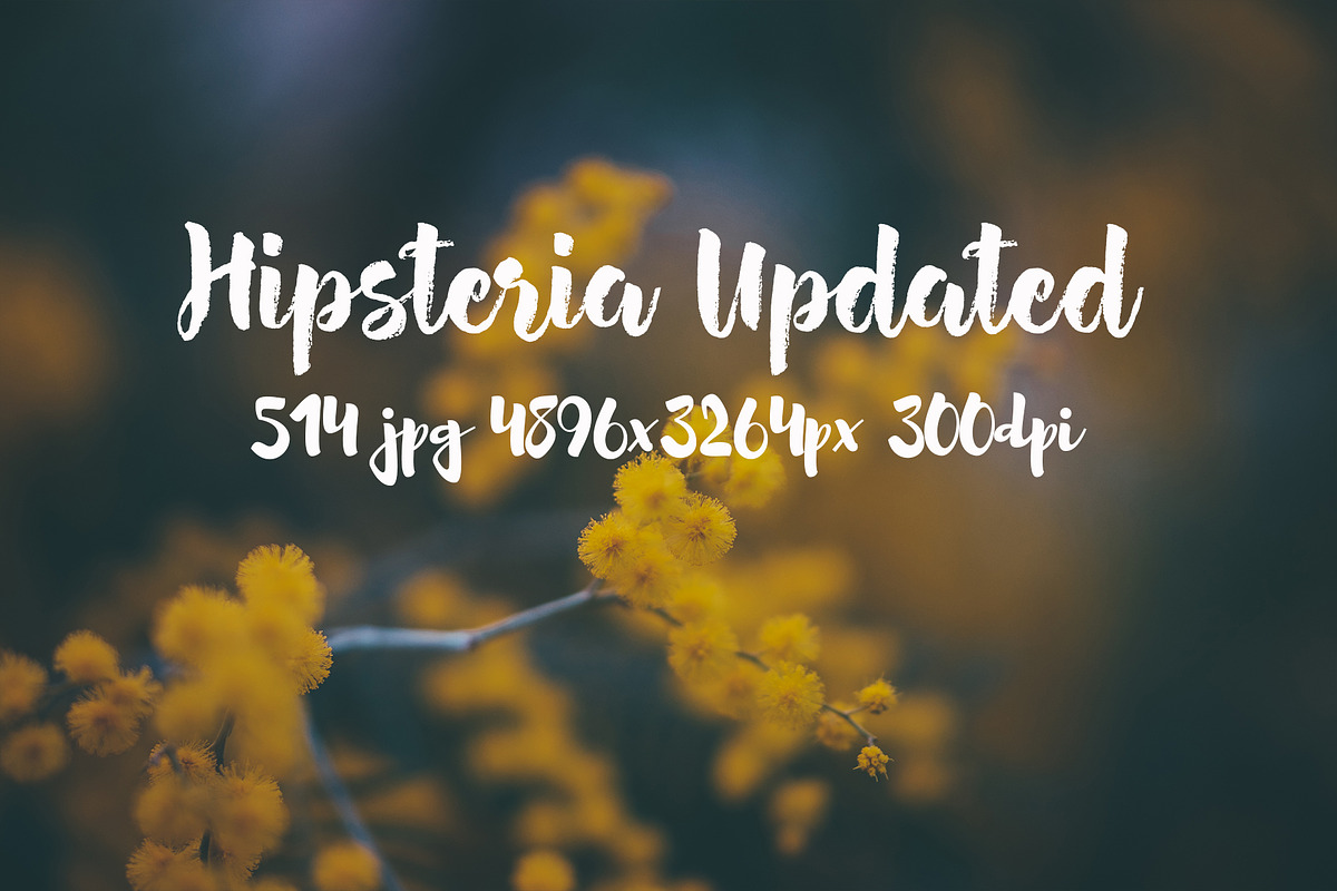 Hipsteria photo pack, a Templates & Theme by ApertureVintage (Photo 7 of 48)