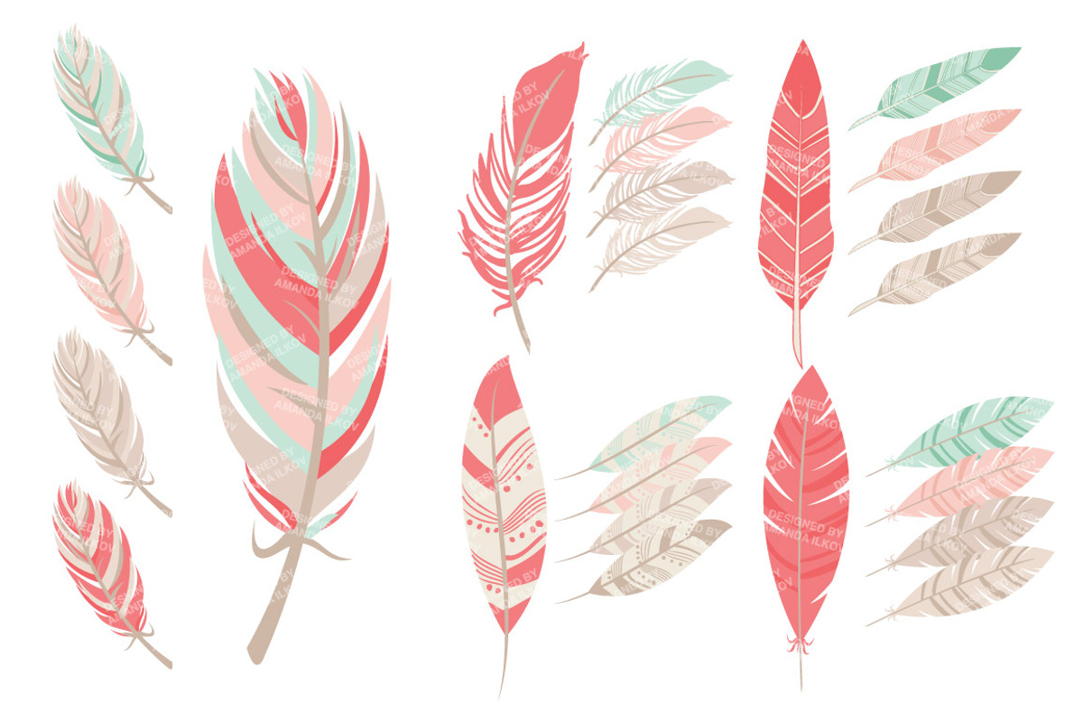 Mint & Coral Feathers Clipart, an Illustration by Amanda Ilkov (Photo 4 of 4)