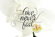 Adorabelle, a Script Font by Dirtyline Studio (Thumbnail 4 of 11)