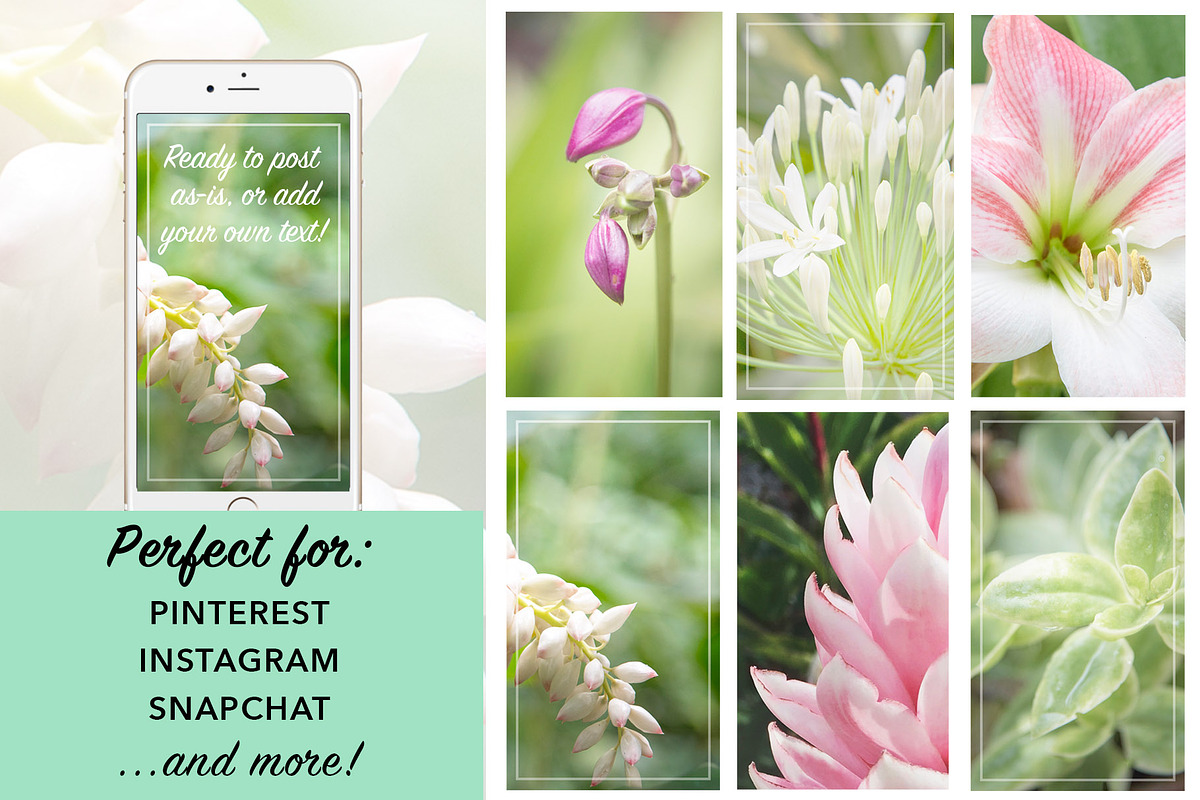 Floral Botanical Background Images, a Background Photo by kristiangallagher (Photo 3 of 5)