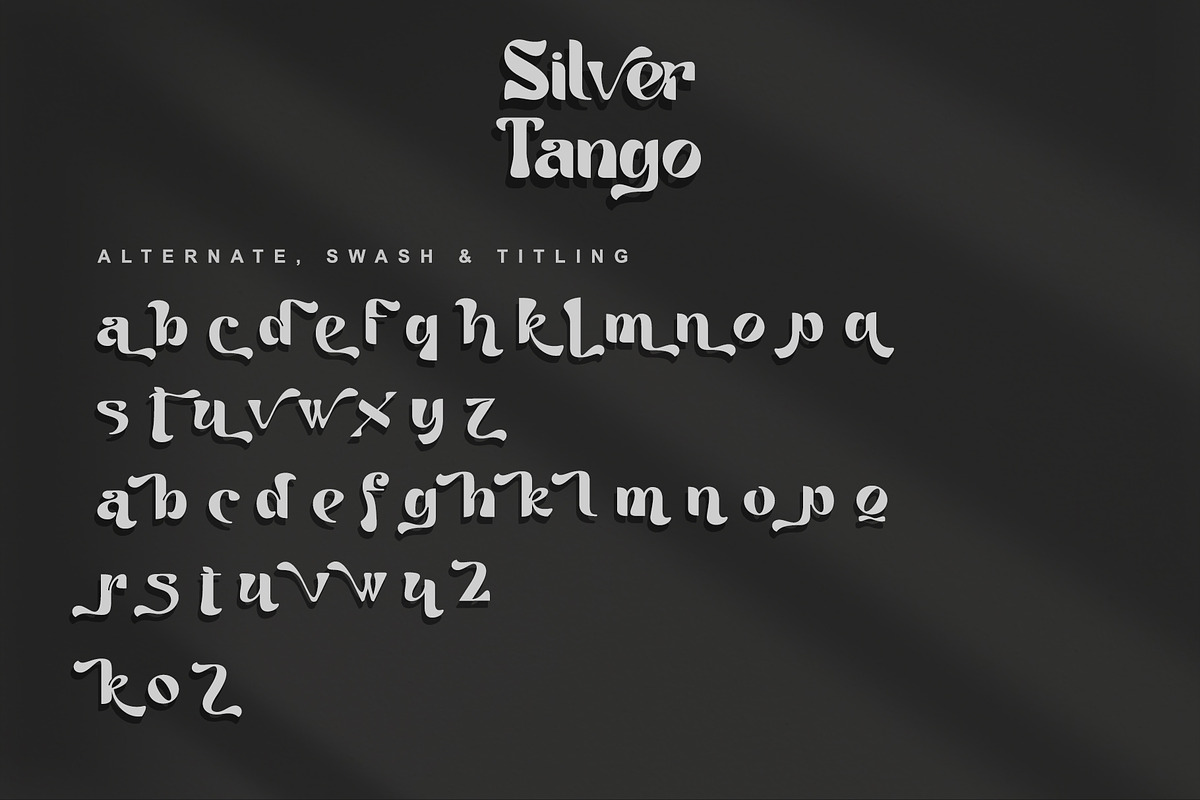 Tango Silver, a Serif Font by Letterara (Photo 9 of 10)