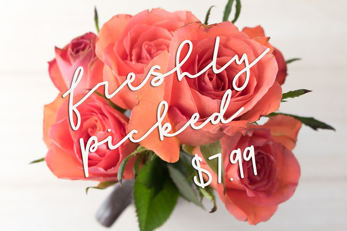 Honey Script Font preview 2