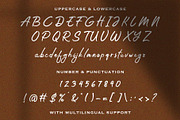 Riqage Tamy - Brush Script Font, a Script Font by fluffstudio (Thumbnail 9 of 9)