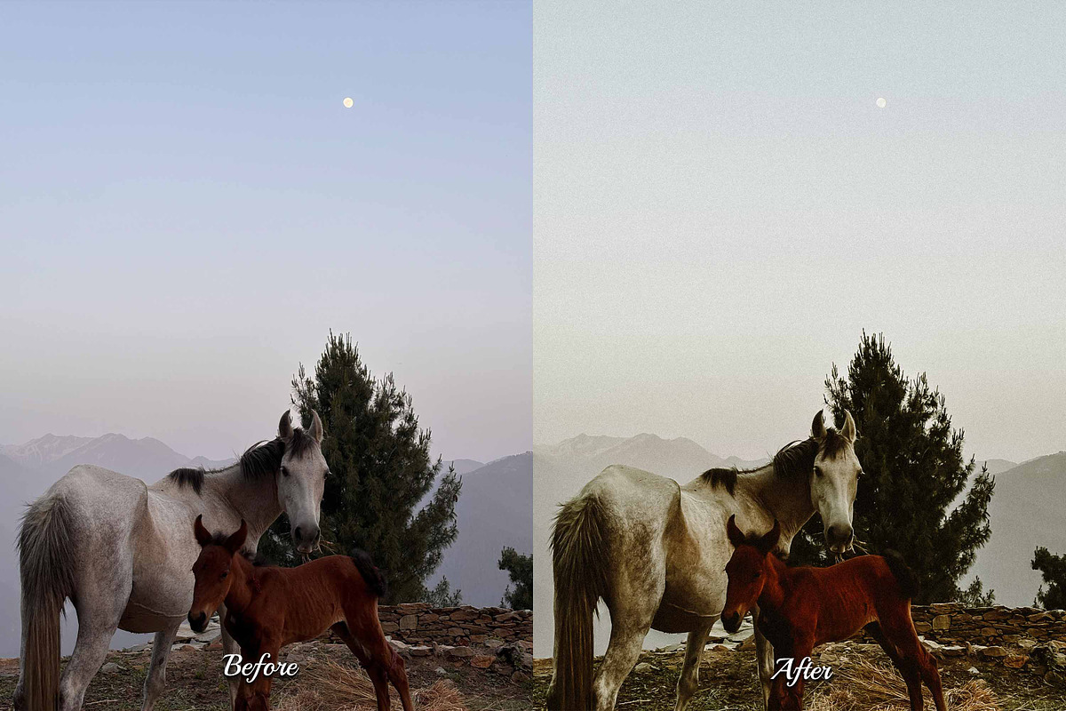 30 Countryside Lightroom Bundle, a Preset Add-On by 3Motional (Photo 2 of 11)