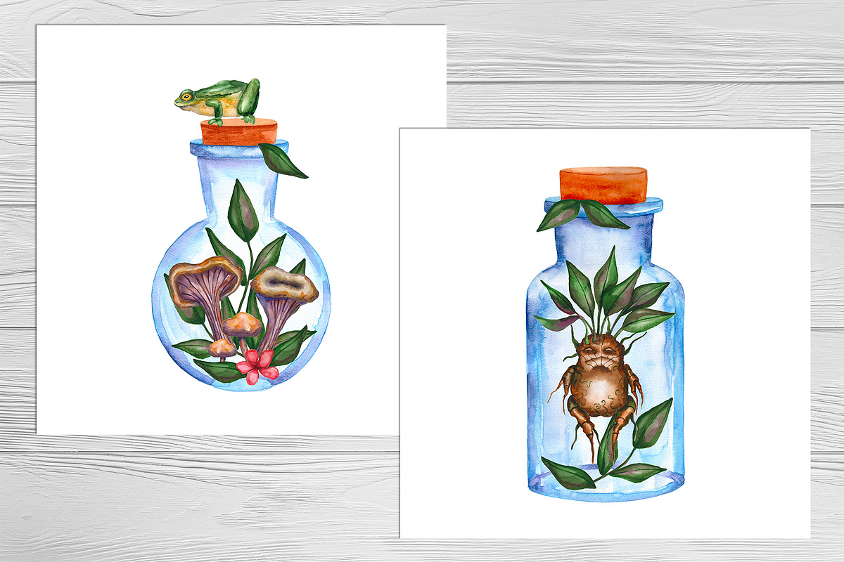 Magic plants and witch's terrariums, an Illustration by Olha's watercolor (Photo 3 of 8)