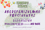 Teaberry Essence - Sweetness Playful, a Font by Gassstype (Thumbnail 6 of 8)