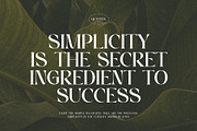 Morins Elegant Serif Font Typeface, a Serif Font by Perfectype (Thumbnail 2 of 8)