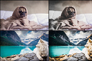 7000+ Professional Lightroom Presets, a Layer Style Add-On by Eldamar Studio (Thumbnail 3 of 33)