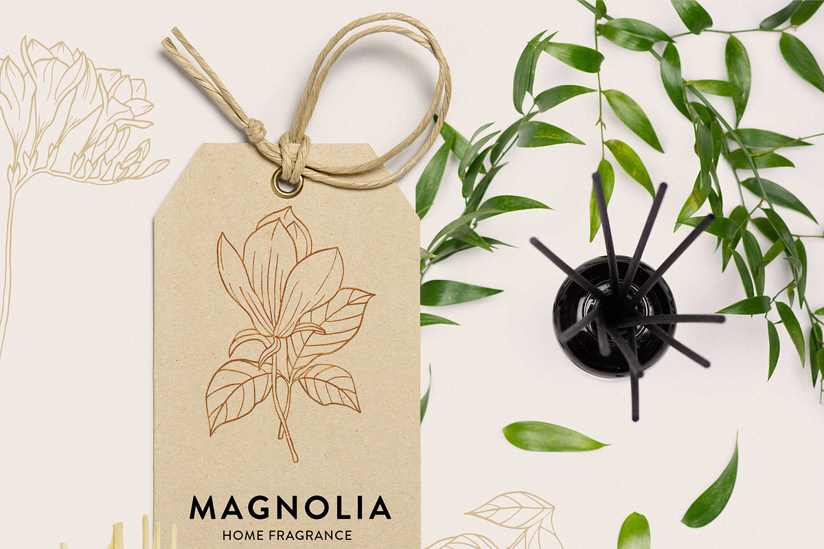 Fragrance Botanicals | 30 designs, an Illustration by amber&ink (Photo 5 of 8)