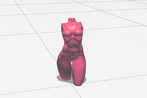 3d Female Torso In Motion