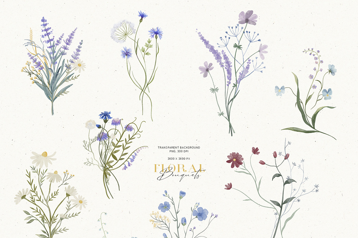 Wildflowers. Watercolor collection, an Illustration by annartdreams (Photo 2 of 14)