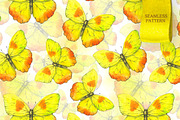 Floral and decor set (yellow color), a Decorative Illustration by Color and Decor (Thumbnail 5 of 5)