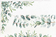 Watercolor Eucalyptus clip art., a Decorative Illustration by Mary (Thumbnail 4 of 4)