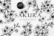 Sakura Flowers Line Art SVG, an Object Graphic by Dervik Art Store (Thumbnail 1 of 9)