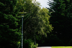 Paved path surrounded by lush green trees in Reykjavik, Iceland, a Photo by AS photostudio