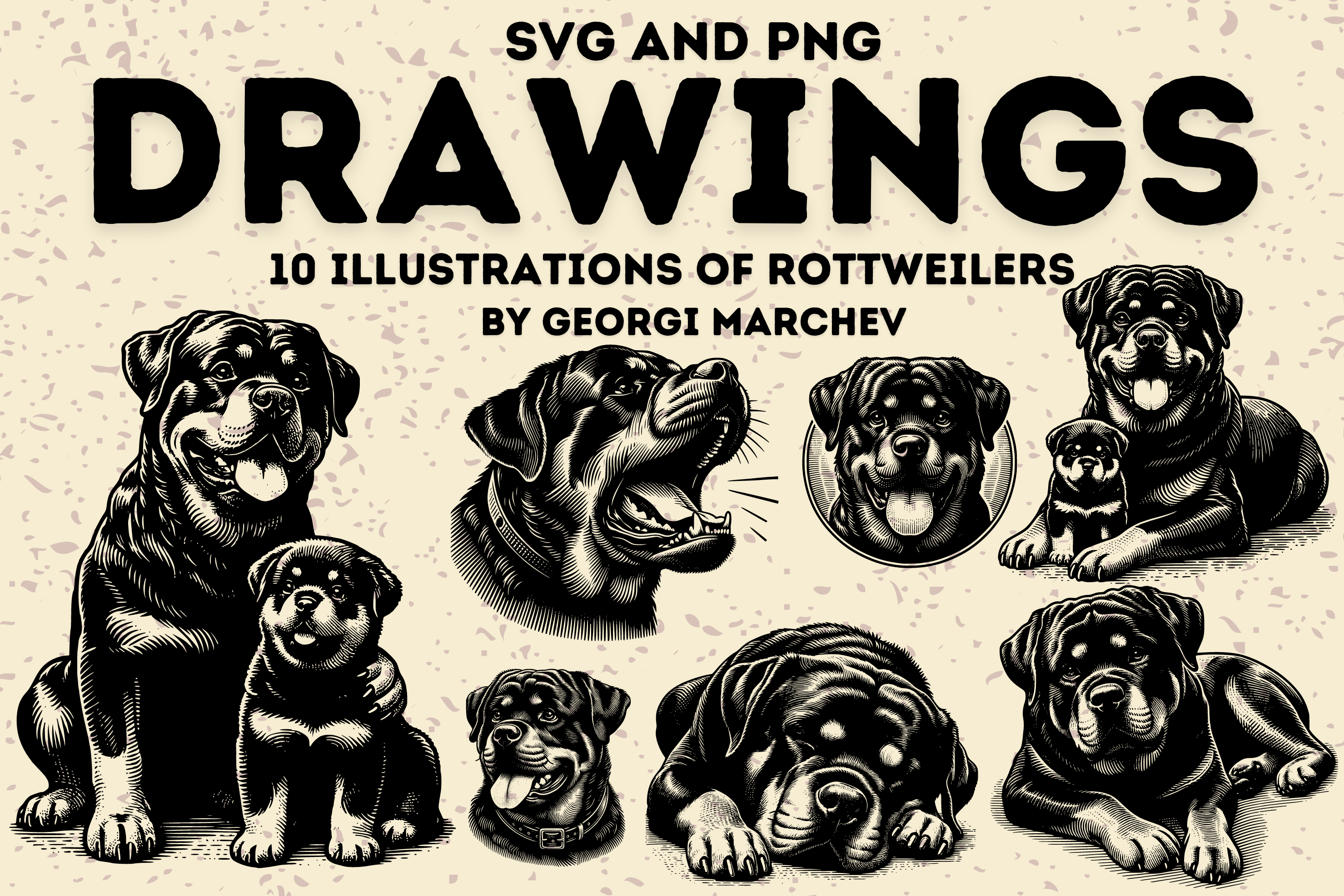 Rottweiler Illustrations Bundle SVG, an Animal Illustration by Ray Crimson