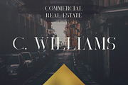 SALE! Black Gold serif typeface, a Serif Font by VP Fonts (Thumbnail 16 of 25)