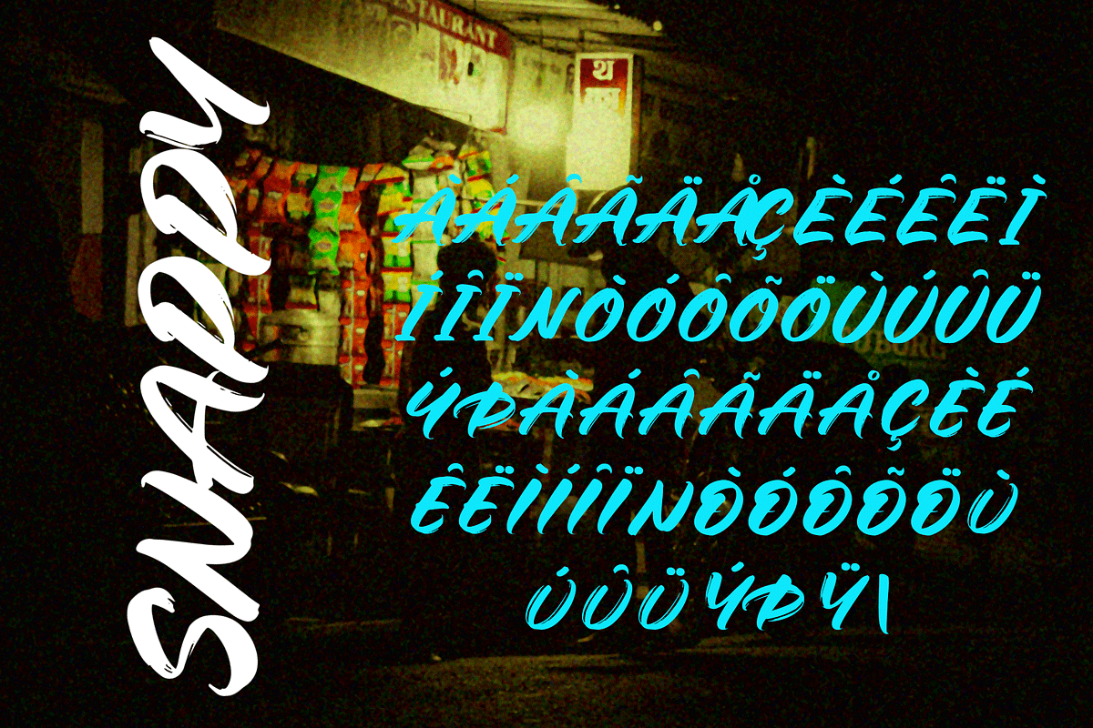 Snappy Font Duo – Brush and Script, a Script Font by overlaytemplates (Photo 5 of 5)
