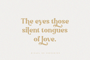 Bekind - Modern & Retro Font, a Serif Font by Pen Culture (Thumbnail 4 of 10)