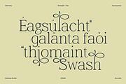 Wornella – Luxury Modern Serif, a Serif Font by Casloop Studio (Thumbnail 4 of 10)