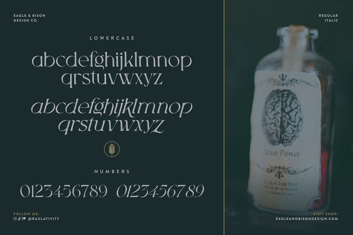 Inkveins - A Serif + Italic Font, a Serif Font by Eagle & Bison Design Co. (Photo 4 of 6)