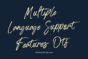 Palmetas, a Handwritten Font by Gatype (Thumbnail 8 of 10)