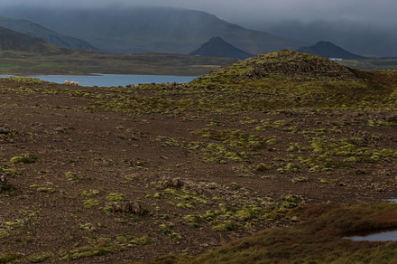 View during auto trip in West Iceland highlands, Snaefellsnes pe, a Nature Photo by YuriyB