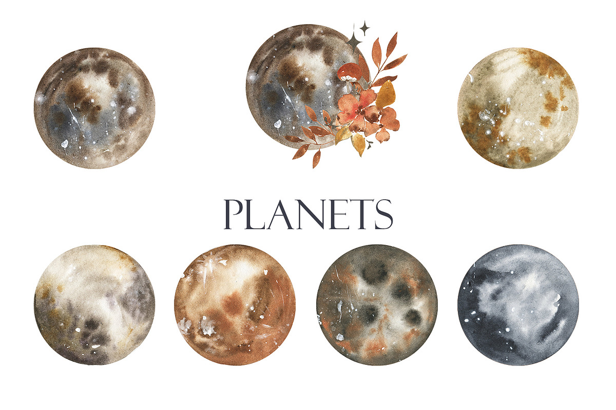 Magic of november, an Animal Illustration by Love Watercolor Store (Photo 6 of 12)