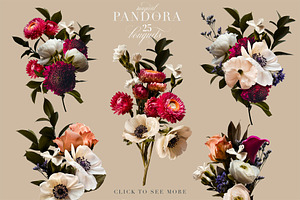 Pandora Moody Floral Clip Art Set