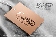 Bidari Script, a Script Font by Raffa Creative (Thumbnail 4 of 7)
