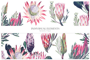 Protea, Patterns And Motifs Set