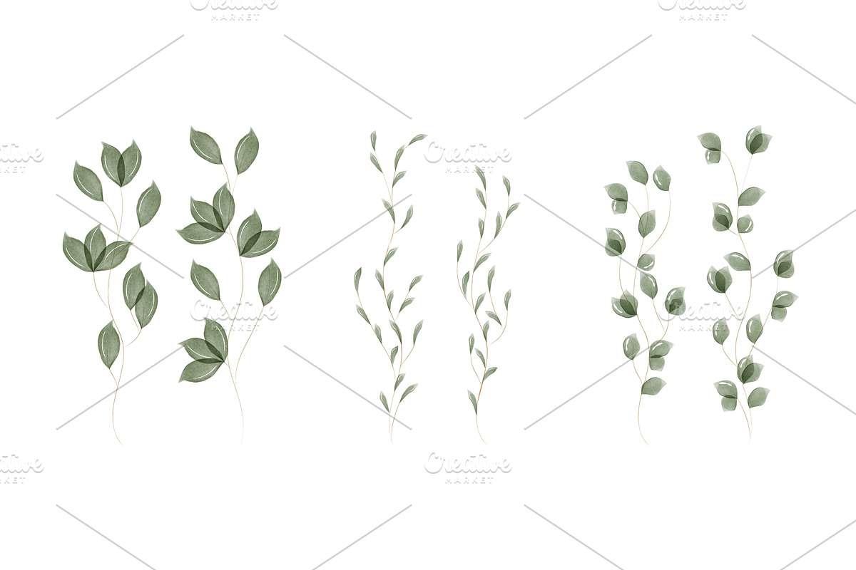 Delicate green watercolor botanical, a Texture Illustration by okskukuruza