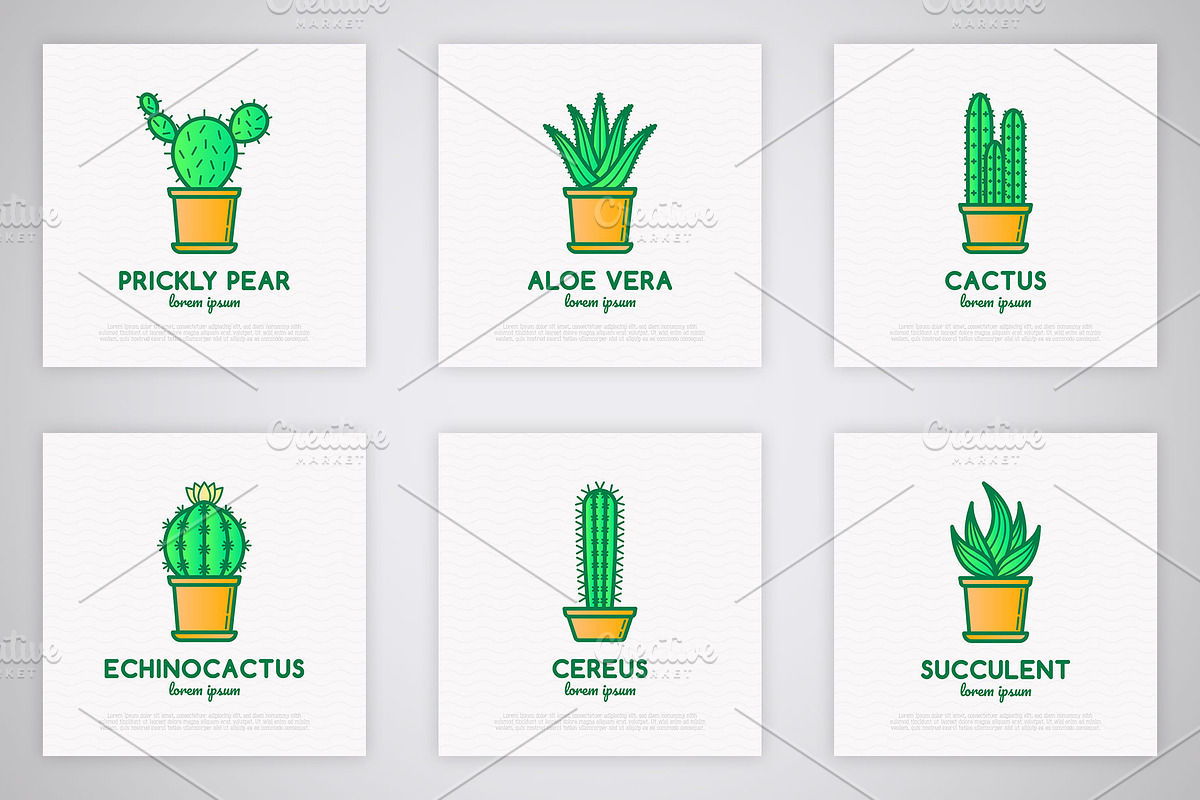Succulents | 16 Thin Line Icons, an Outline Icon by Alex Blogoodf (Photo 5 of 9)
