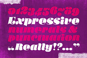 Callista, a Script Font by Karandash (Thumbnail 5 of 5)
