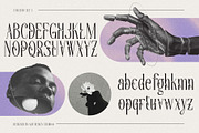 Cherola Typeface, a Serif Font by alit design (Thumbnail 5 of 15)