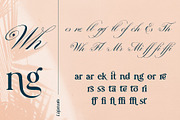 Prestissimo Classy (20% 0FF), a Script Font by Burntilldead (Thumbnail 12 of 23)
