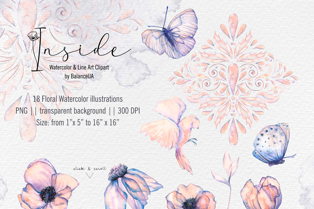 Inside Watercolor Floral Clipart, a Decorative Illustration by BalanceUA (Photo 13 of 19)