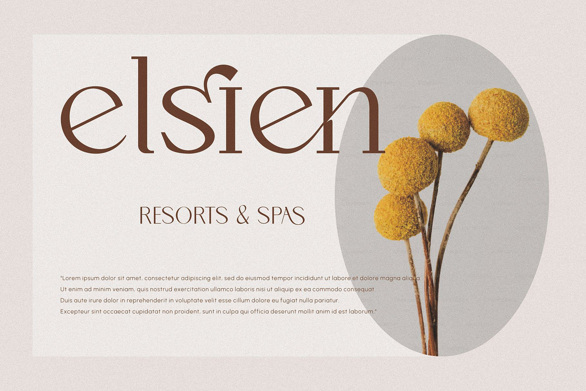 Aotten, a Serif Font by Penatic Studio (Photo 3 of 10)