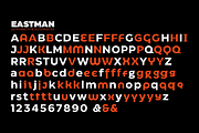 Eastman - 42 fonts, a Sans Serif Font by Zetafonts (Thumbnail 9 of 12)