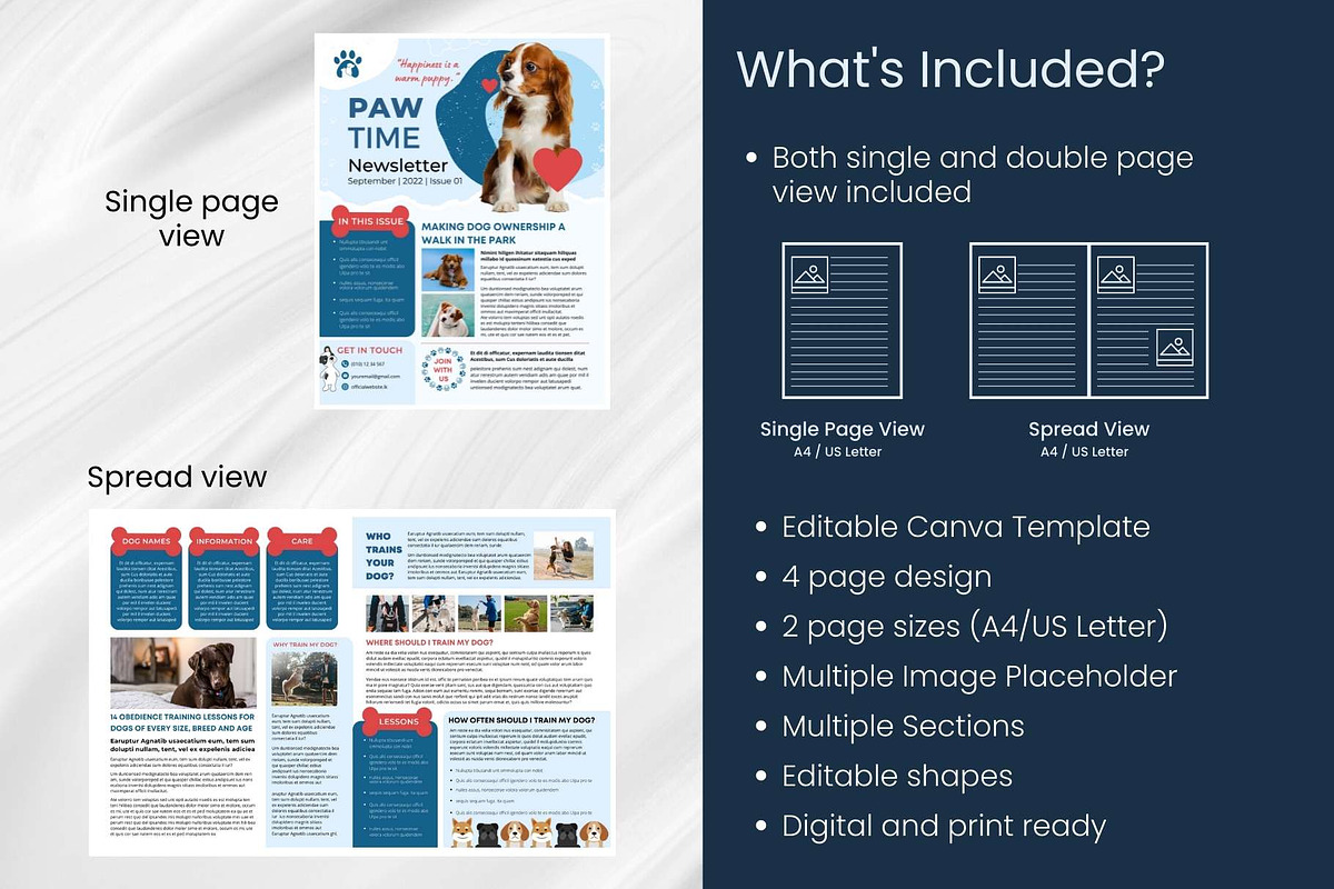 Canva Newsletter Template Dogs Pets, an Email Template by PixelCraft (Photo 6 of 15)