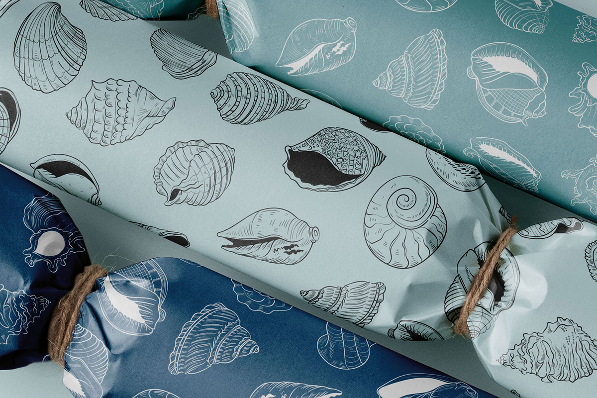Ocean Shells Illustration, an Object Illustration by KetteCreate (Photo 5 of 17)