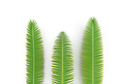 Palm branch, an Environmental 3D Model by AndrewWhite (Thumbnail 2 of 10)