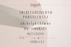 Snagrids Classy Ligature Serif