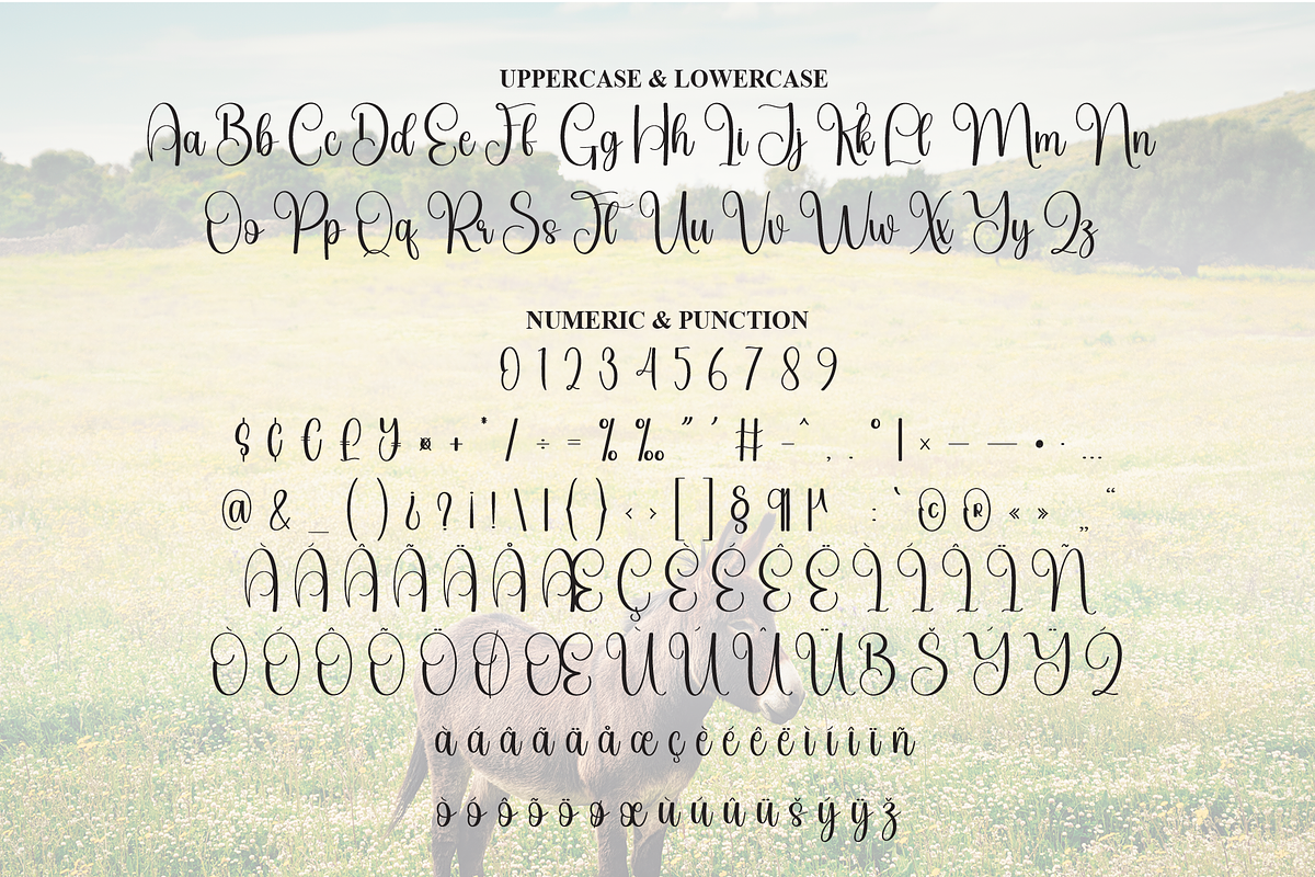 Donkey | Script Font, a Handwritten Font by Scratchones (Photo 7 of 9)