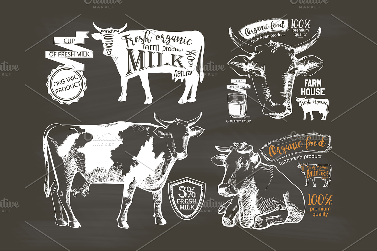 Cows and Milk. Hand drawn Vector set, an Animal Illustration by Alltruecolours (Photo 6 of 6)