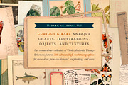 BUNDLE: 600 Academia Ephemera, an Object Graphic by The Object Atlas (Thumbnail 2 of 16)